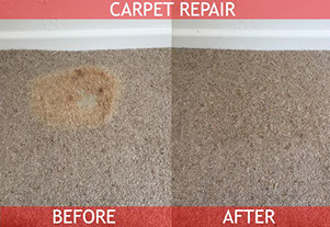 A1 Carpet Cleaning Specialists - Carpet & Fabric Protection