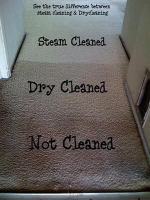 Carpet Cleaning Launceston | Carpet Cleaning Hobart | Steam Carpet Cleaning